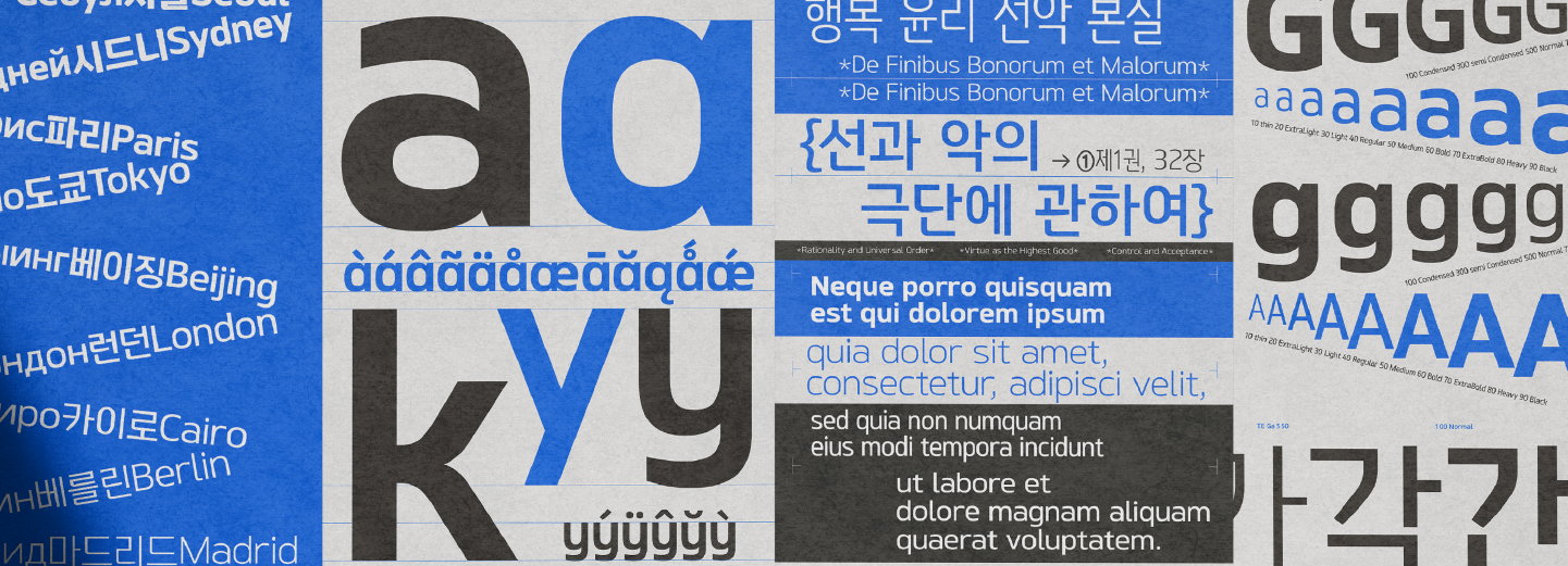 TE 가 콜렉션